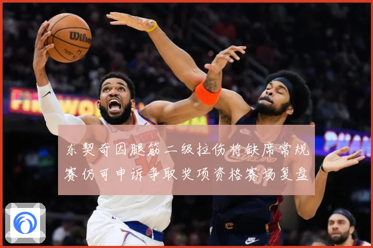 东契奇因腿筋二级拉伤将缺席常规赛仍可申诉争取奖项资格赛场复盘：最新赛事动态与深度分析